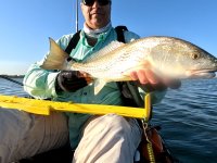 22&quot; Redfish #2 on 20240514